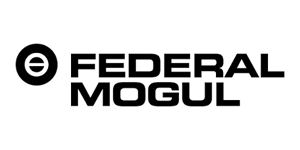 Federal Mogul Türkiye